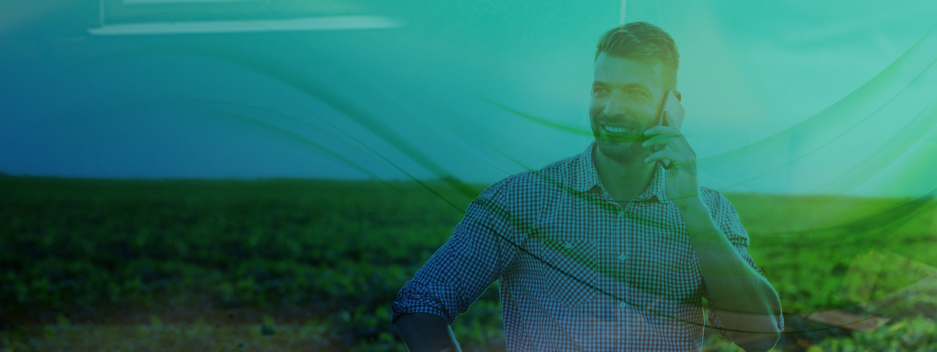Plante o futuro do
seu agronegócio com a SementesPaulista